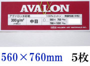 アヴァロン水彩紙  中目　３００ｇ　５６０×７６０ｍｍ　５枚組