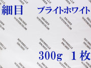 アルシュ水彩紙 ブライトホワイト　細目　３００ｇ　５６０×７６０ｍｍ　１枚組