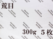アルシュ水彩紙　荒目　３００ｇ　５６０×７６０ｍｍ　５枚組