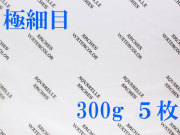 アルシュ水彩紙　極細目　３００ｇ　５６０×７６０ｍｍ　５枚組