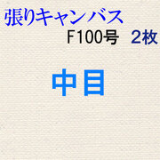 純麻張りキャンバス 中目 Ｆ１００号　２枚組