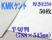 ミューズ　KMKケント＜＃２５０＞ 半切判 ５０枚