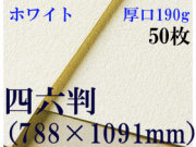 ミューズ　ホワイトワトソン＜厚口190g＞四六判（1,091mm×788mm） ５０枚