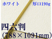 【送料無料】ミューズ　ホワイトワトソン水彩紙＜厚口190g＞四六判（1,091mm×788mm）（枚数選択）
