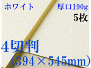 ミューズ　ホワイトワトソン＜厚口190g＞４切判（394×545mm） ５枚