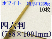 ミューズ　ホワイトワトソン＜特厚口239g＞四六判（1,091mm×788mm） １０枚