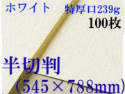 ミューズ　ホワイトワトソン＜特厚口239g＞半切判（545×788mm） １００枚