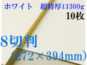 ミューズ　ホワイトワトソン＜超特厚口300g＞８切判（272×394mm） １０枚