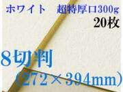 ミューズ　ホワイトワトソン水彩紙＜超特厚口300g＞８切判（272×394mm） ２０枚