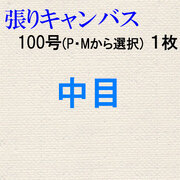 純麻張りキャンバス 中目 １００号（P・Mから選択）　１枚組