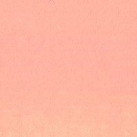 023 フレッシュ No.2 　6号（20ｍｌ）[Aqyla(アキーラ)水性アルキド樹脂絵具]