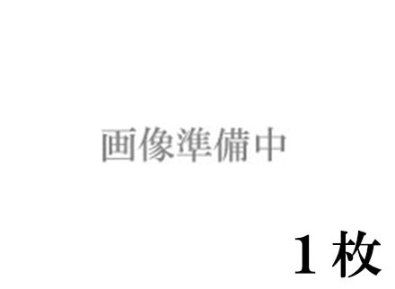 ラングトン水彩紙（パルプ100％）中目　３００g　５６０×７６０　１枚組