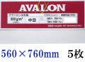 アヴァロン水彩紙  中目　３００ｇ　５６０×７６０ｍｍ　５枚組