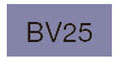 BV25 [コピックチャオ]