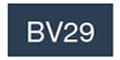 BV29 [コピックチャオ]
