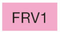  FRV1 [コピックスケッチ]