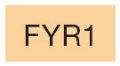  FYR1 [コピックスケッチ]