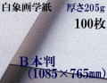 ミューズ　白象画学紙＜厚口125K＞　Ｂ本判　１００枚