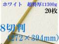 ミューズ　ホワイトワトソン水彩紙＜超特厚口300g＞８切判（272×394mm） ２０枚
