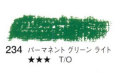 234 パーマネントグリーンライト[セヌリエオイルパステル]