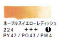 224 ネープルスイエローレディッシュ（５ｍｌ）[レンブラント水彩絵具]