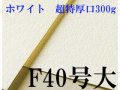 ミューズ　ホワイトワトソン水彩紙 F40号大（843×1040mm）＜超特厚口300g＞ ３枚／１箱