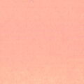 023 フレッシュ No.2 　6号（20ｍｌ）[Aqyla(アキーラ)水性アルキド樹脂絵具]