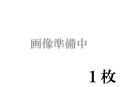 ラングトン水彩紙（パルプ100％）中目　３００g　５６０×７６０　１枚組