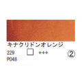229 キナクリドンオレンジ（１０ｍｌ）[レンブラント水彩絵具]
