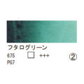 675 フタログリーン（１０ｍｌ）[レンブラント水彩絵具]