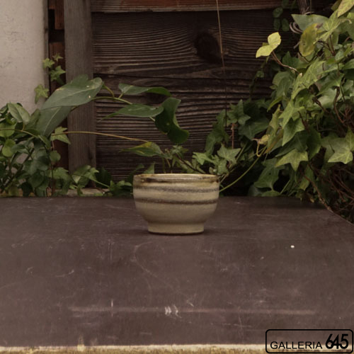 丸湯呑：伊良部あゆ：026001-3