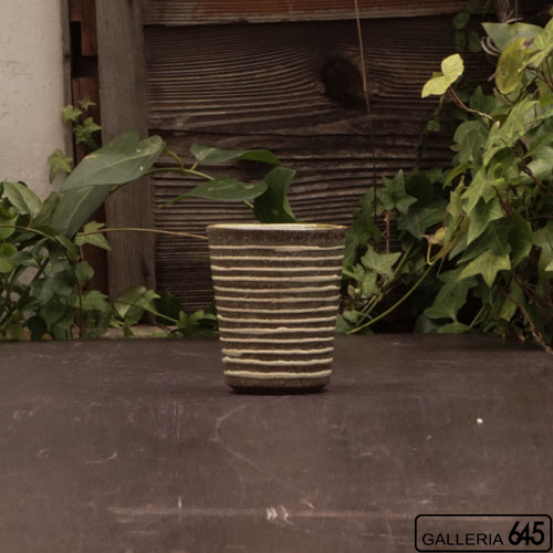 コップ（中）：伊良部あゆ：026003-1