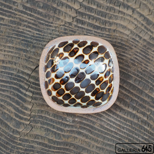 四角豆皿（茶ドット）：眞喜屋 修 ：035100