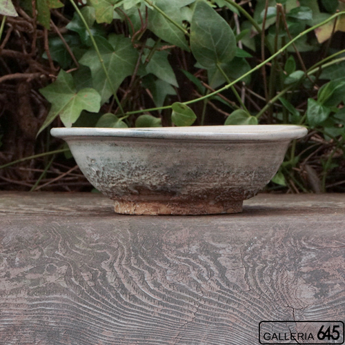 5寸浅鉢：加藤 唯：037010