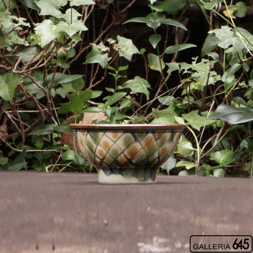 4寸マカイ（格子）：福田健治:039046