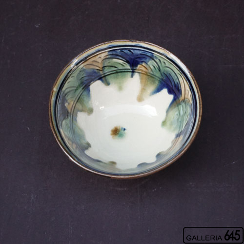 5寸鉢(カラーリーフ):福田健治:039300-8