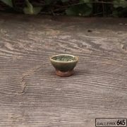 盃（緑）：山田 和男：046035-5