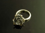 薔薇　シルバーリング