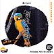 創造素材 鳥Vol.3