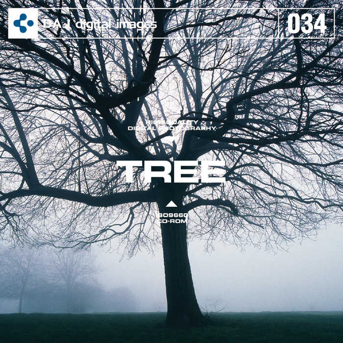 DAJ 034 TREE【メール便可】 色見本のG&E