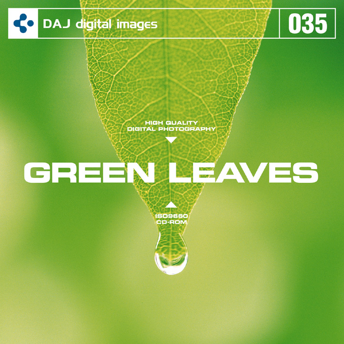 DAJ035 GREEN LEAVES 【フレッシュな新緑イメージ】