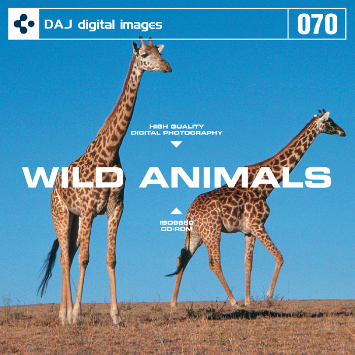 DAJ070 ＷＩＬＤ ＡＮＩＭＡＬ 【野生の王国・アフリカ】