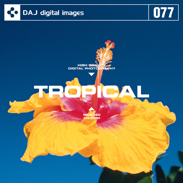 DAJ077 TROPICAL 【トロピカルライフ】