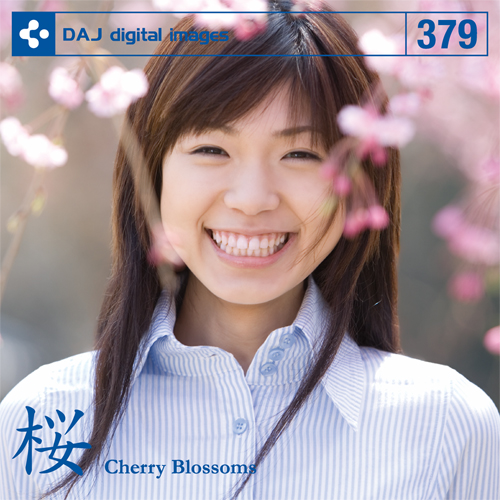 DAJ379 桜 CherryBlossoms
