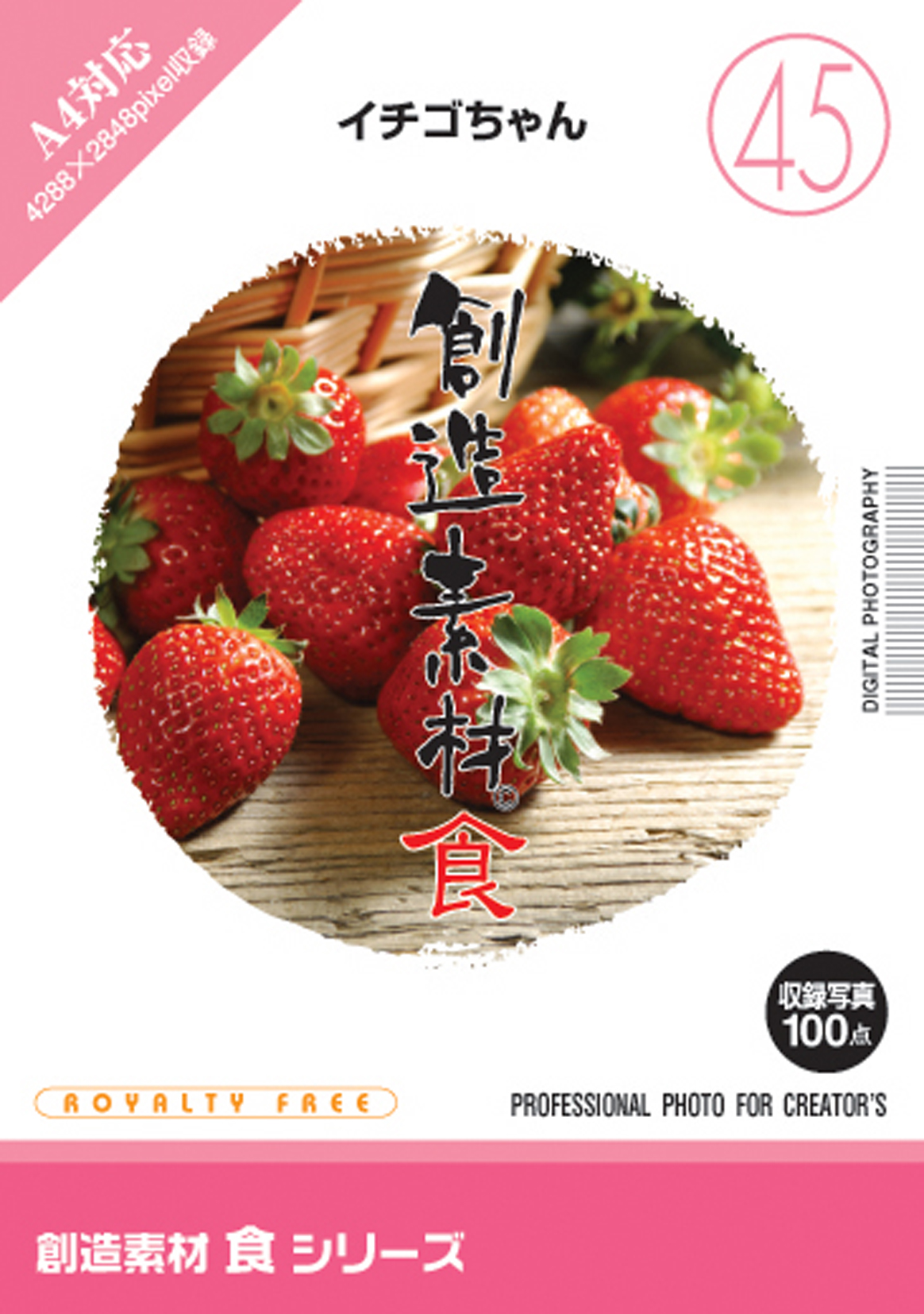 創造素材 食シリーズ[45]イチゴちゃん