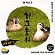 創造素材 鳥Vol.2