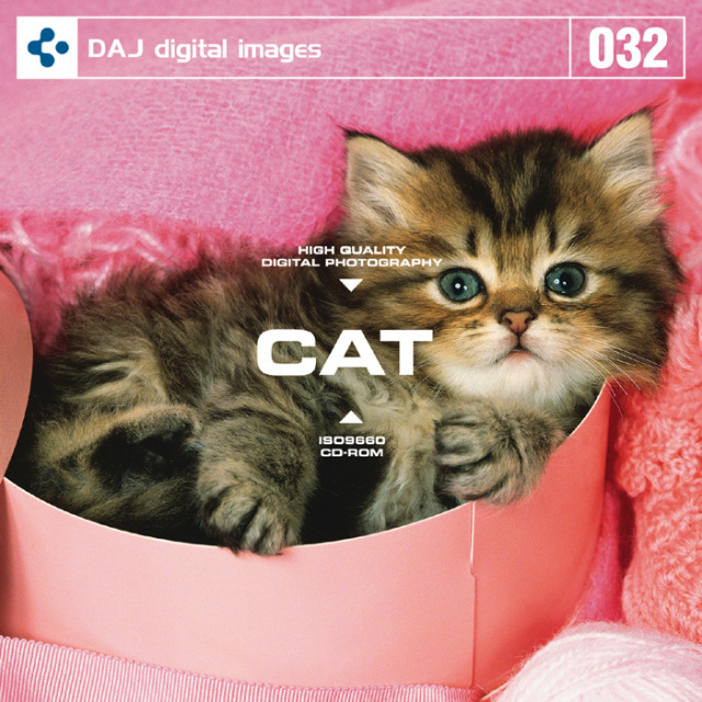 DAJ032 CAT 【かわいい子猫】