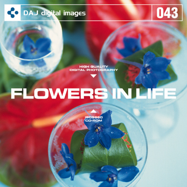 DAJ043 FLOWERS IN LIFE 【花のある生活】