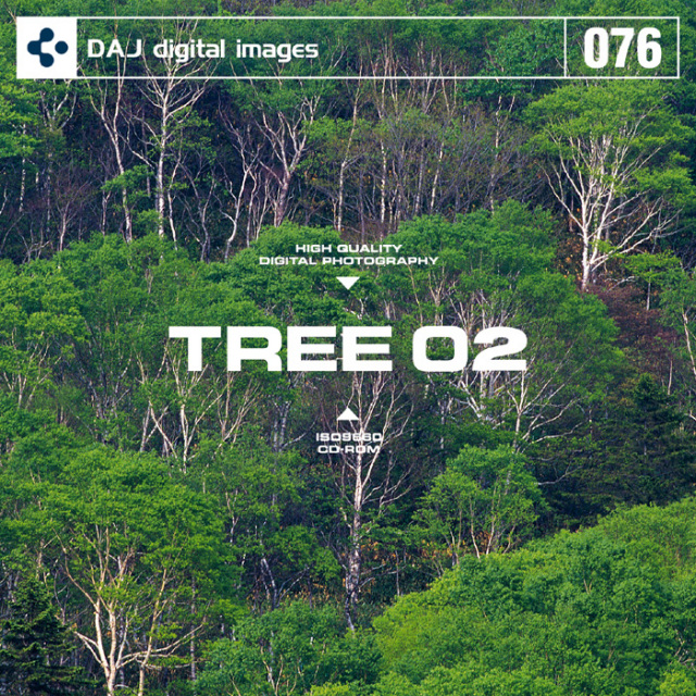 DAJ 076 TREE 02