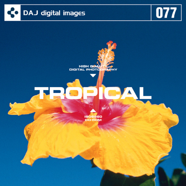 DAJ077 TROPICAL 【トロピカルライフ】